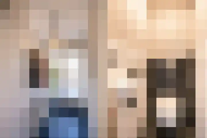 Ploeg 53 Berghem thumbnail 6