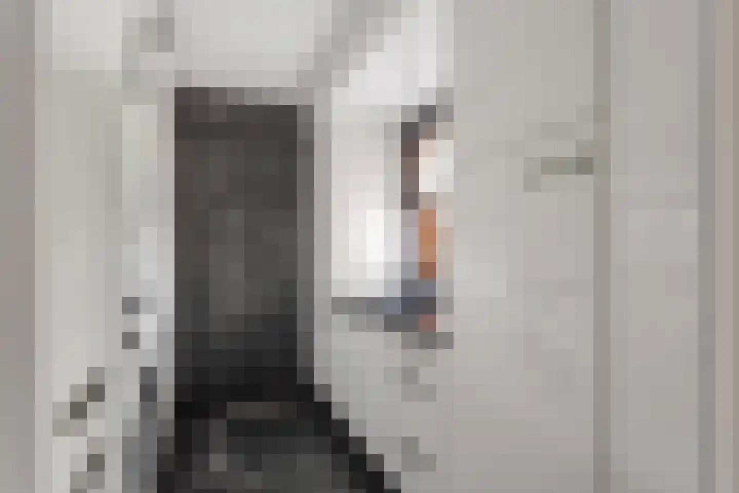 Ploeg 54 Vriezenveen thumbnail 11