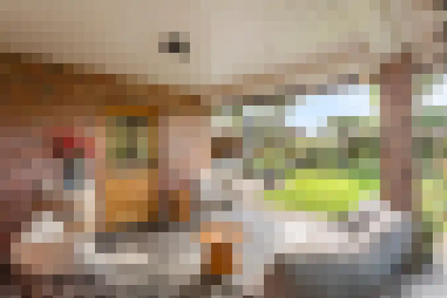 Ploeg 54 Vriezenveen thumbnail 24