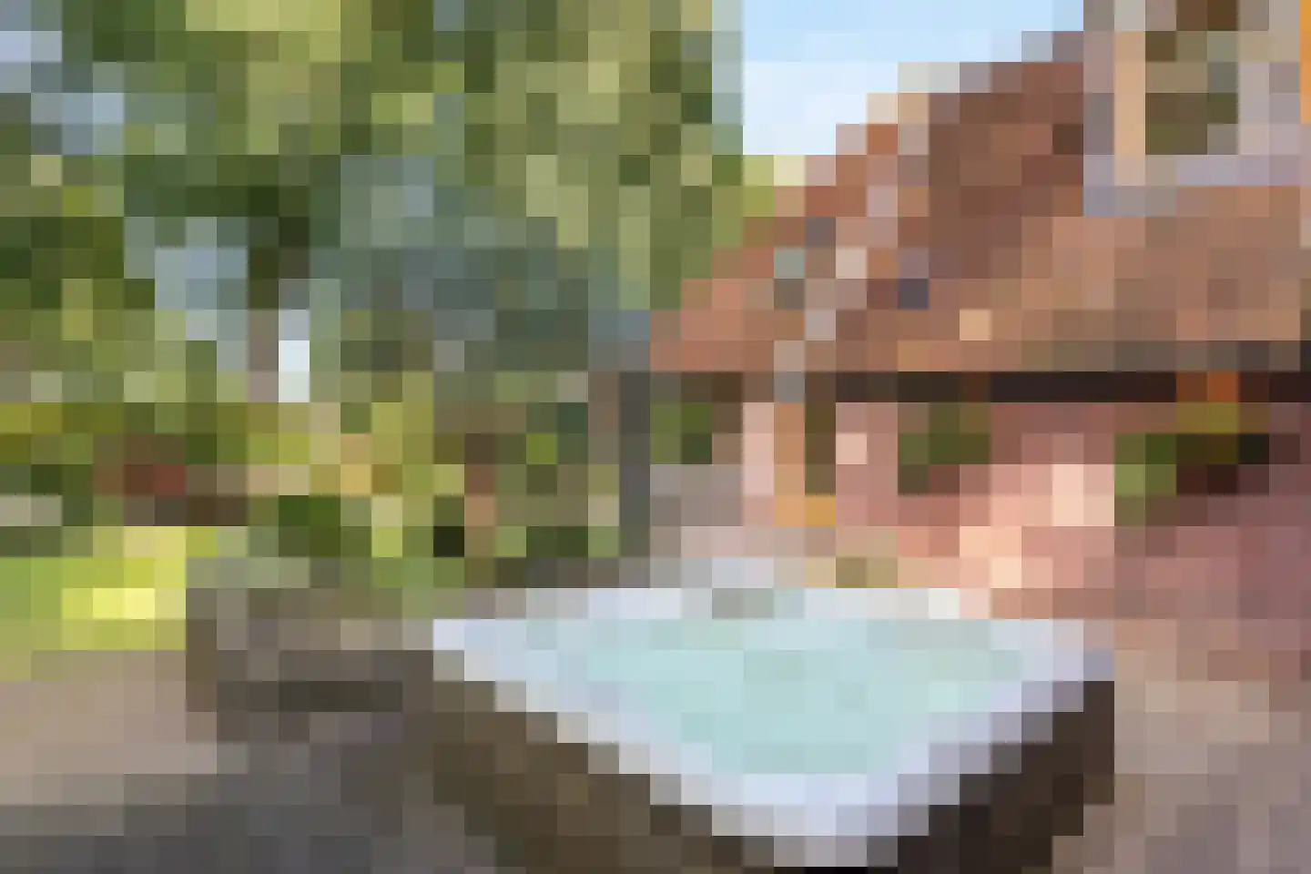 Ploeg 54 Vriezenveen thumbnail 25