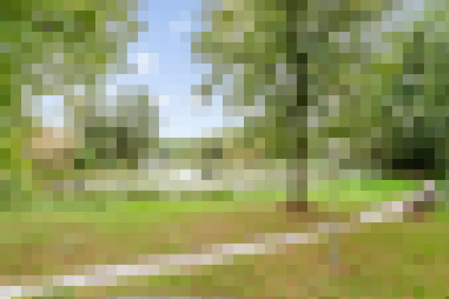 Ploeg 54 Vriezenveen thumbnail 28
