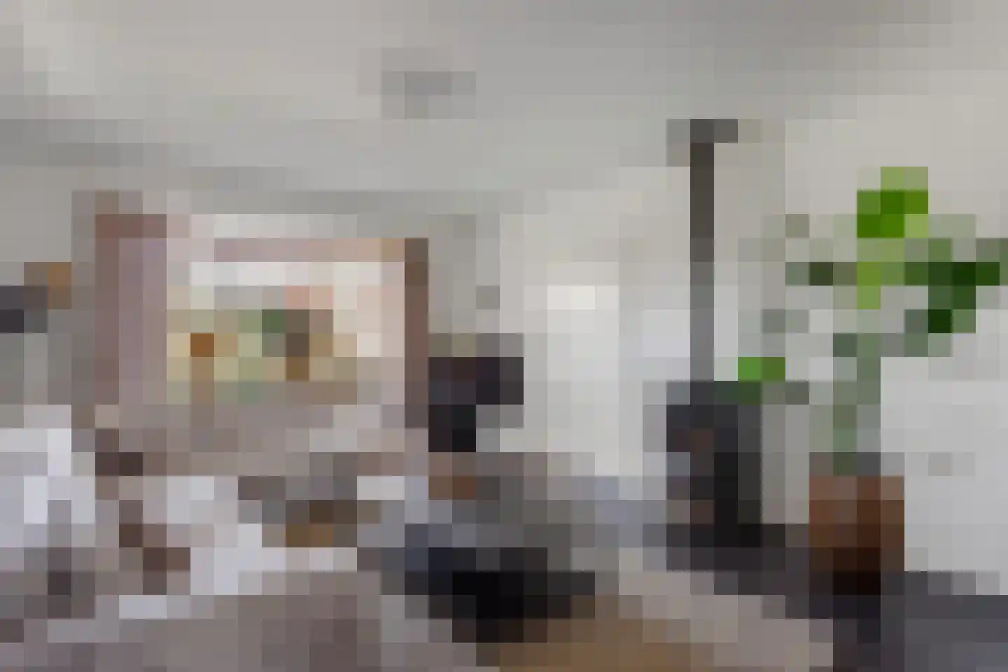 Ploeg 54 Vriezenveen thumbnail 5