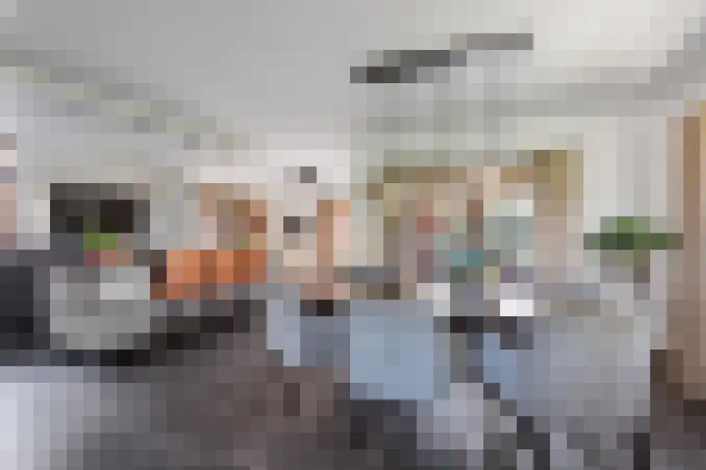 Ploeg 54 Vriezenveen thumbnail 7
