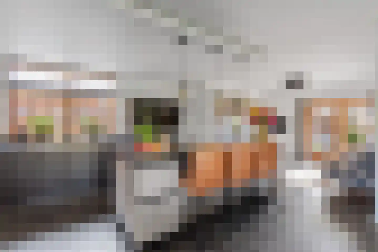 Ploeg 54 Vriezenveen thumbnail 8