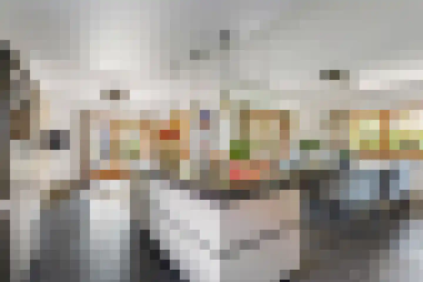 Ploeg 54 Vriezenveen thumbnail 9