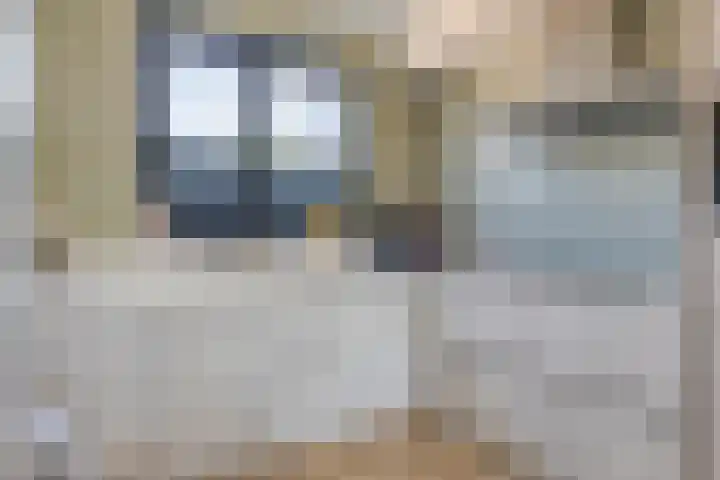 Ploeg 8 Holten thumbnail 10