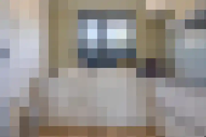 Ploeg 8 Holten thumbnail 11