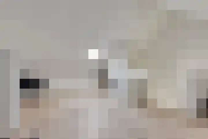 Ploeg 8 Holten thumbnail 23