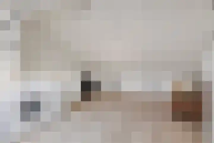 Ploeg 8 Holten thumbnail 25