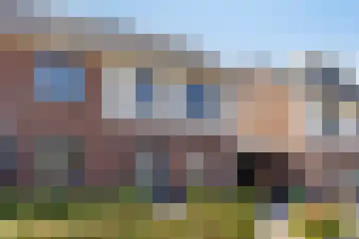 Ploeg 8 Holten thumbnail 26