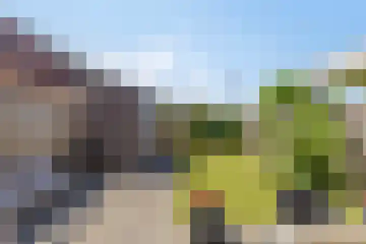 Ploeg 8 Holten thumbnail 32
