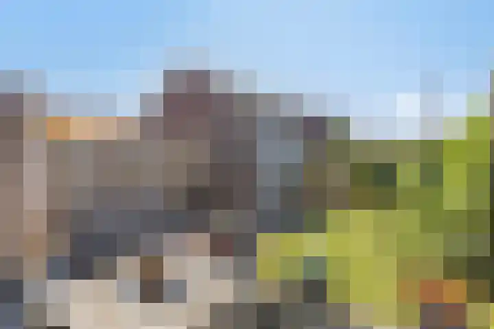 Ploeg 8 Holten thumbnail 33