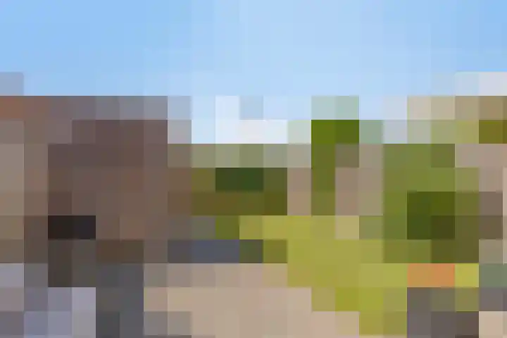Ploeg 8 Holten thumbnail 34