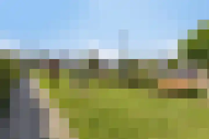 Ploeg 8 Holten thumbnail 37