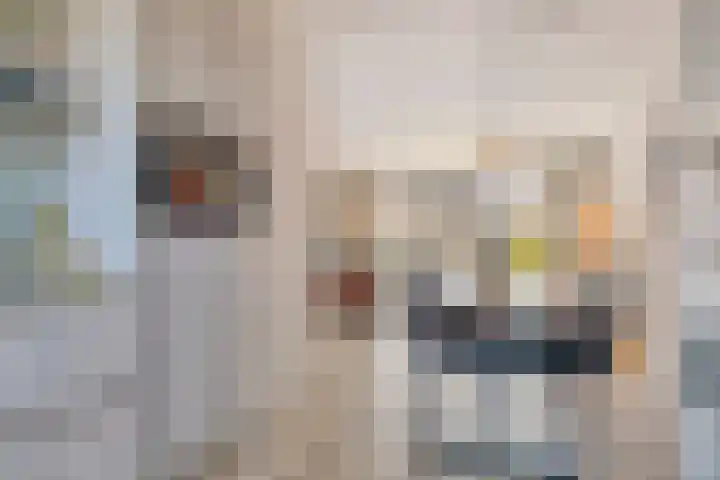 Ploeg 8 Holten thumbnail 9