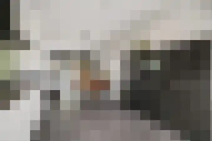 Ploeg 9 Rhenen thumbnail 10