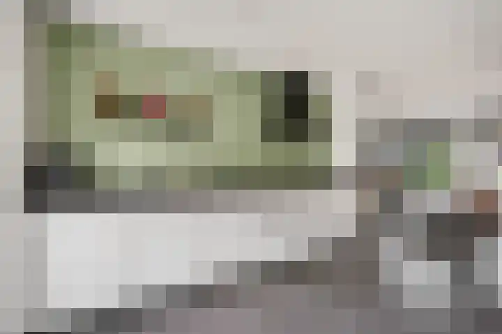 Ploeg 9 Rhenen thumbnail 11