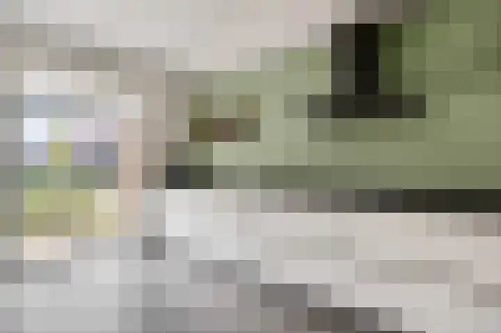 Ploeg 9 Rhenen thumbnail 12