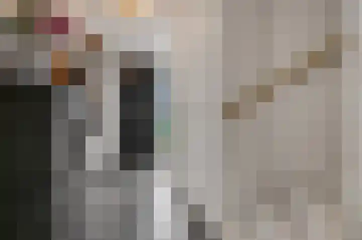 Ploeg 9 Rhenen thumbnail 13