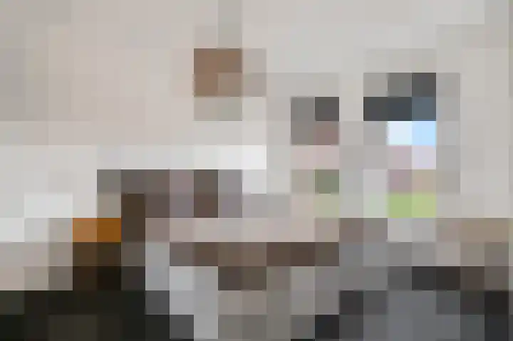 Ploeg 9 Rhenen thumbnail 14