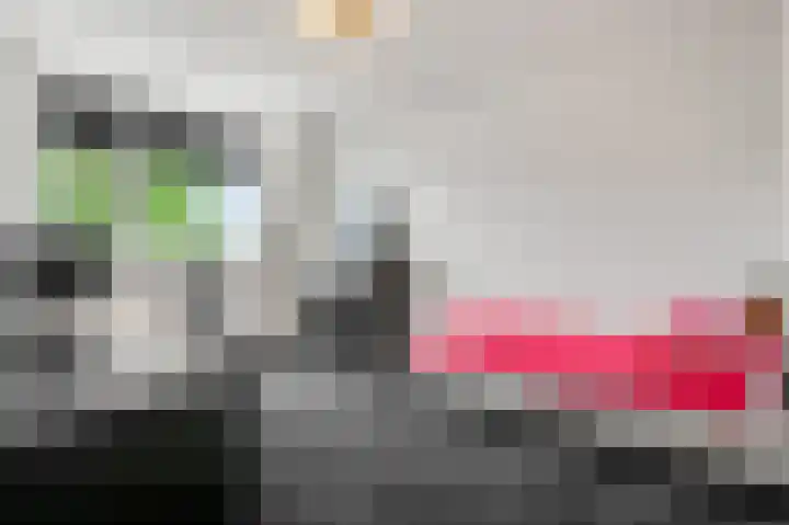 Ploeg 9 Rhenen thumbnail 16
