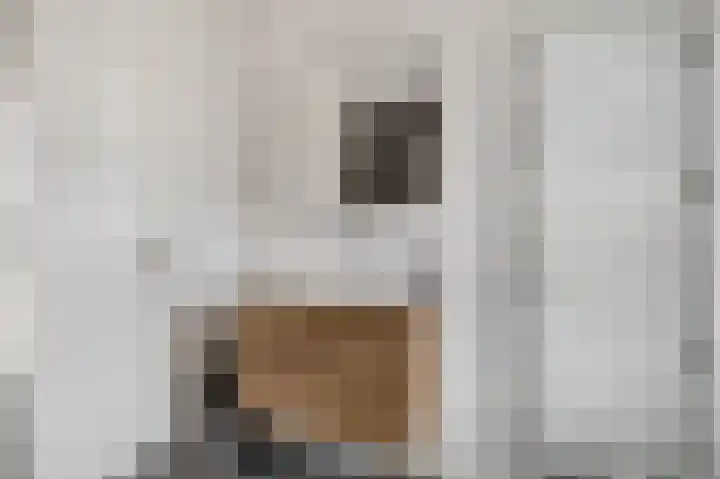 Ploeg 9 Rhenen thumbnail 21