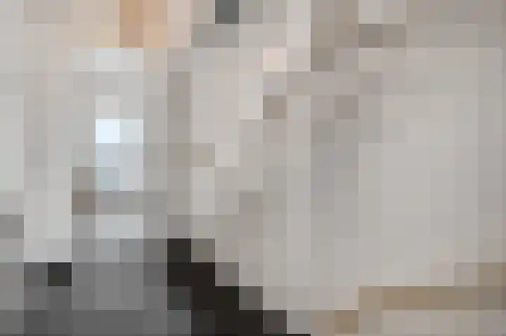 Ploeg 9 Rhenen thumbnail 23