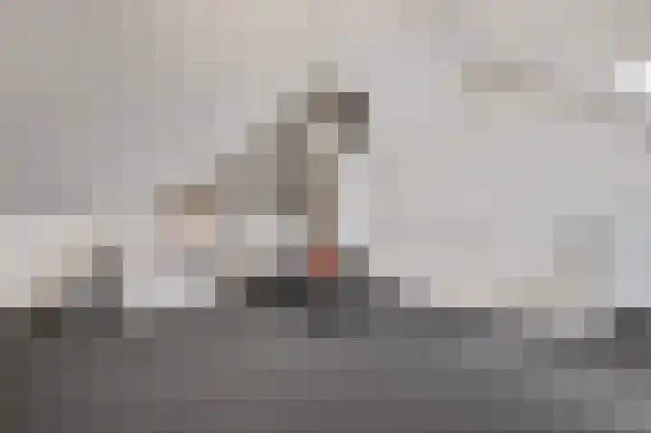 Ploeg 9 Rhenen thumbnail 24
