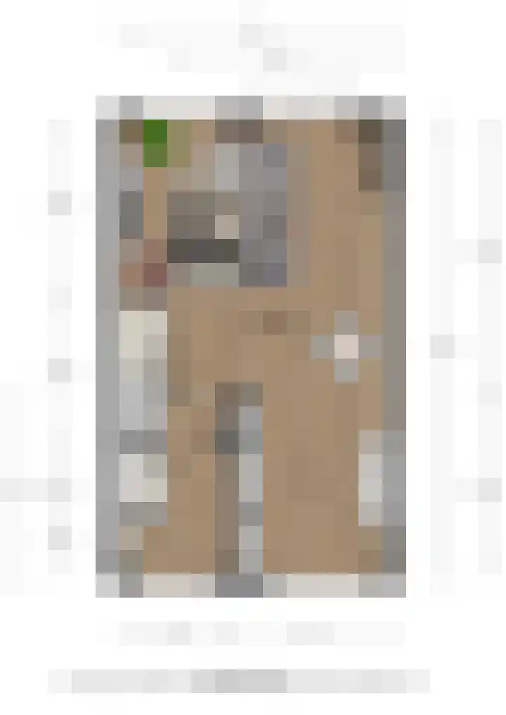 Ploeg 9 Rhenen thumbnail 39