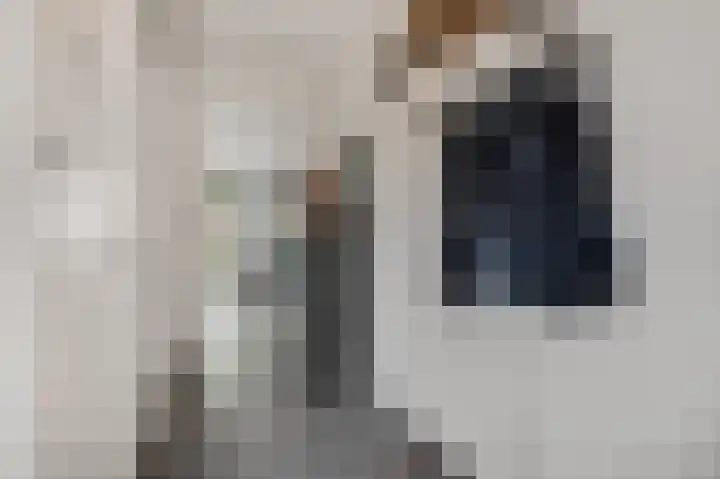 Ploeg 9 Rhenen thumbnail 5