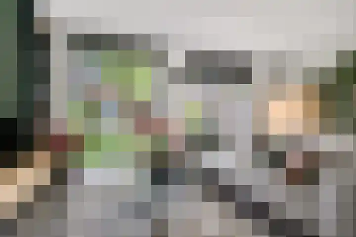 Ploeg 9 Rhenen thumbnail 6