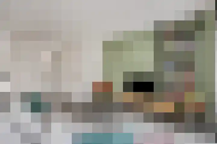 Ploeg 9 Rhenen thumbnail 7