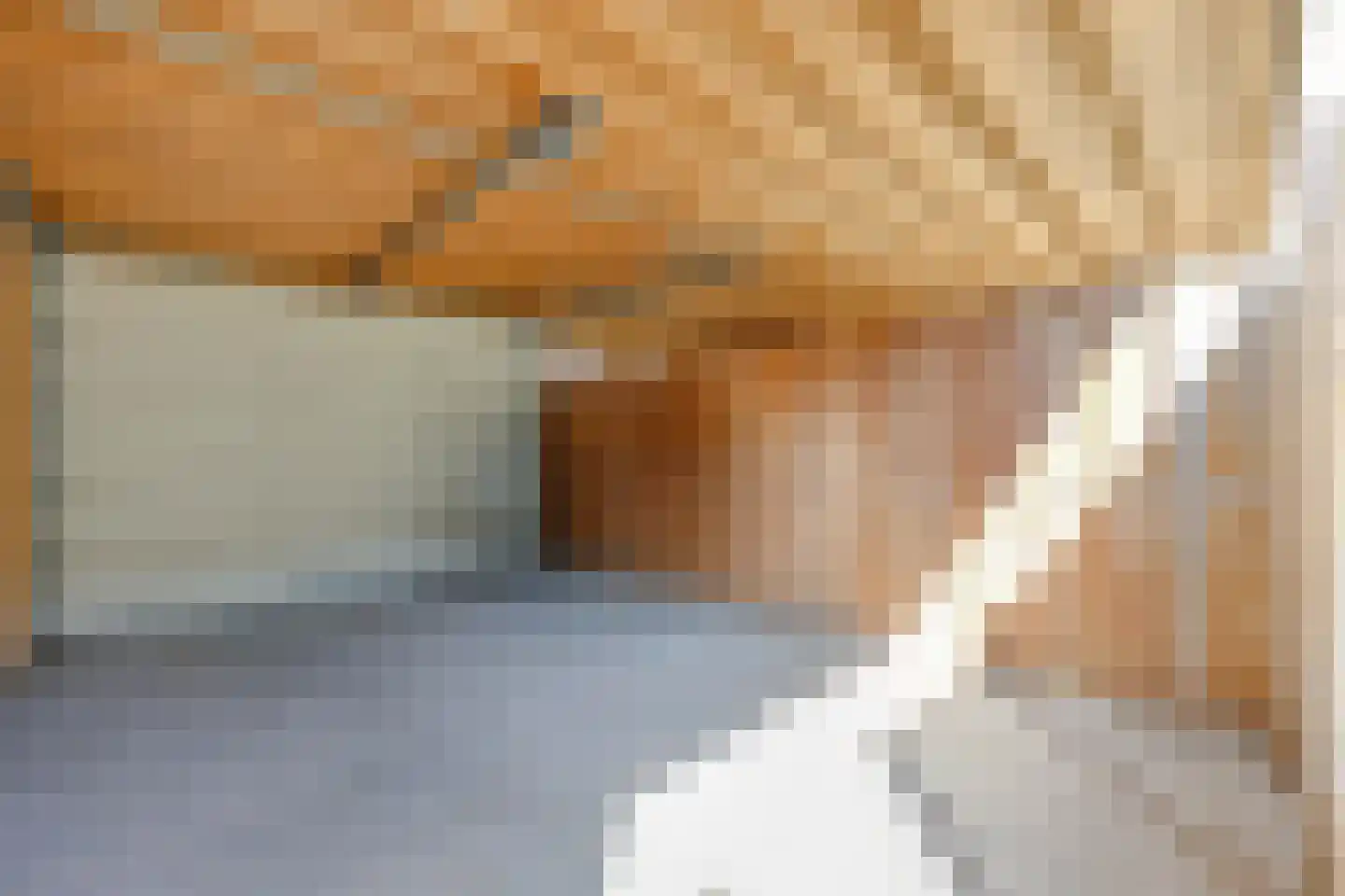 Ploeganker 31 Almere thumbnail 32