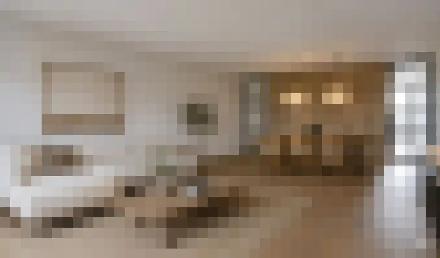 Ploeganker 31 Almere thumbnail 8