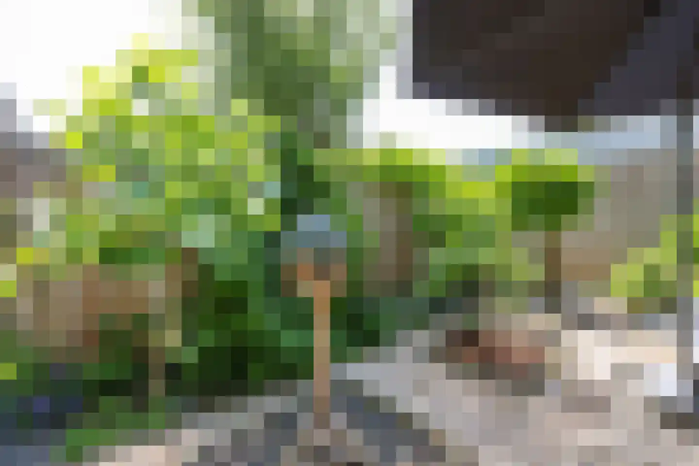 Ploeganker 51 Almere thumbnail 19