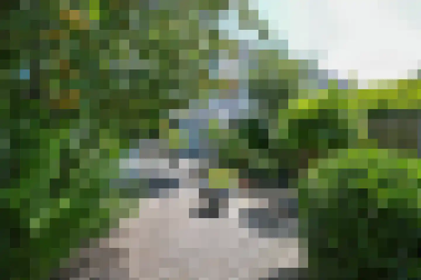 Ploeganker 51 Almere thumbnail 20