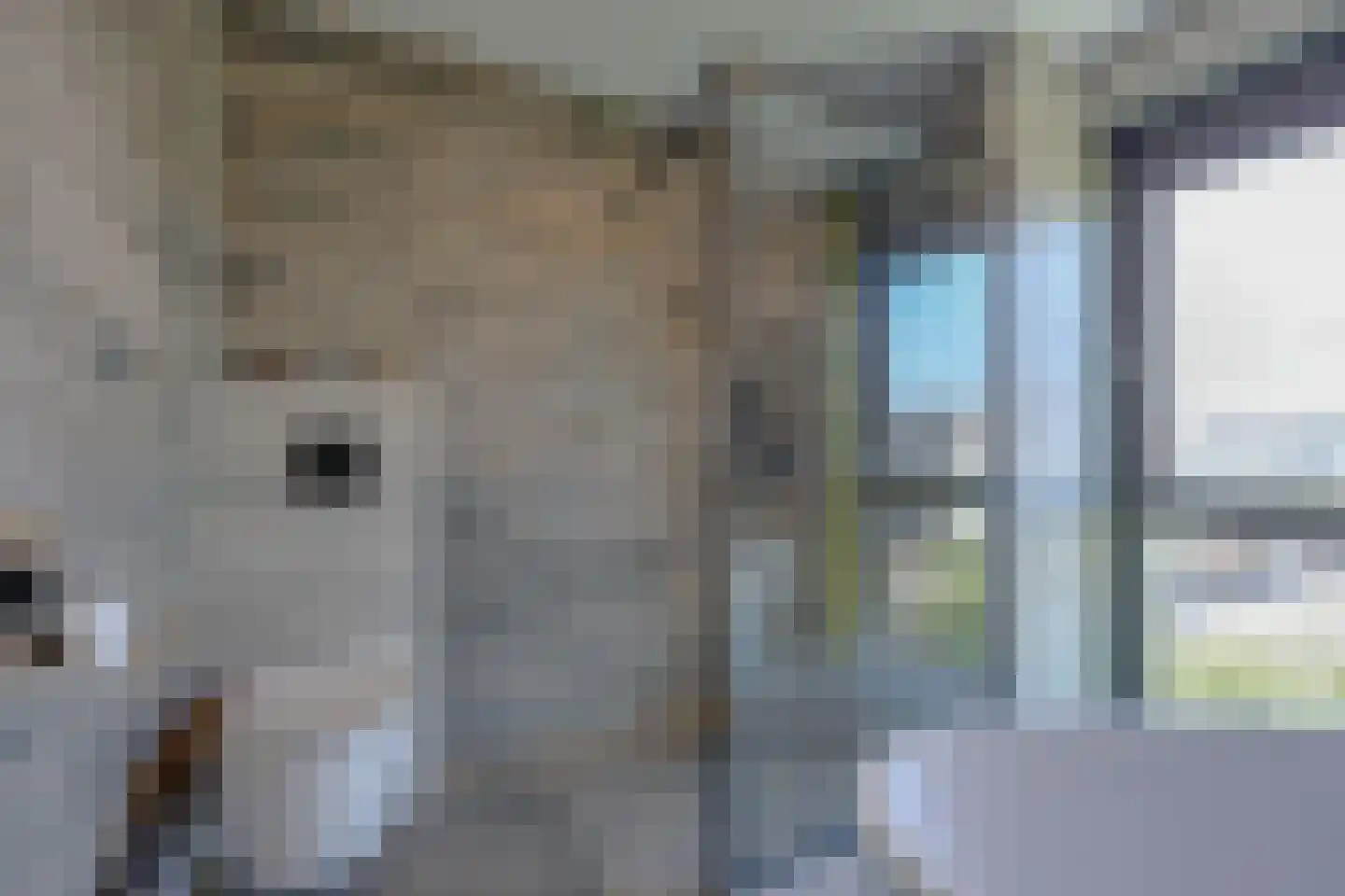 Ploeganker 51 Almere thumbnail 39