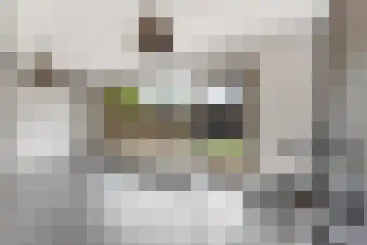 Ploeganker 55 Almere thumbnail 12