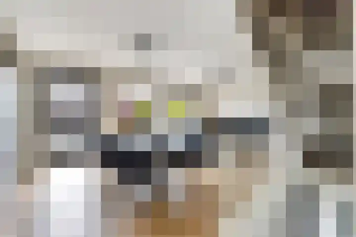 Ploeganker 55 Almere thumbnail 20
