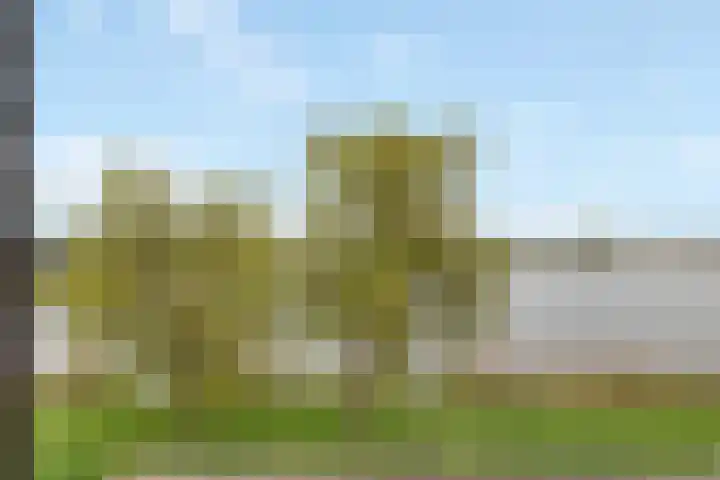 Ploeganker 55 Almere thumbnail 39
