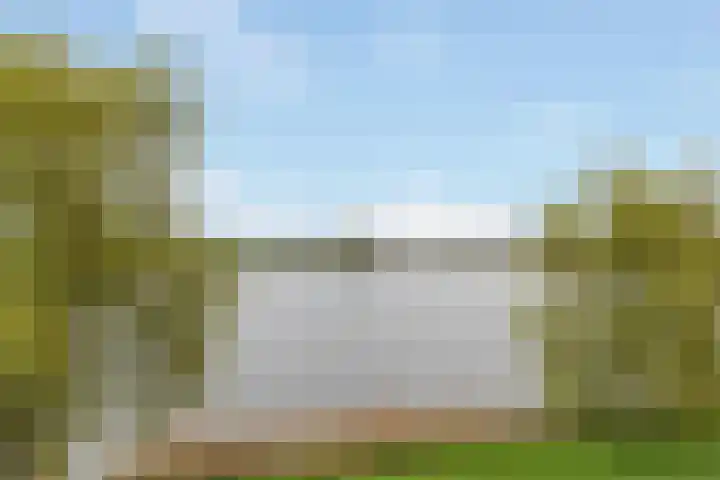 Ploeganker 55 Almere thumbnail 40