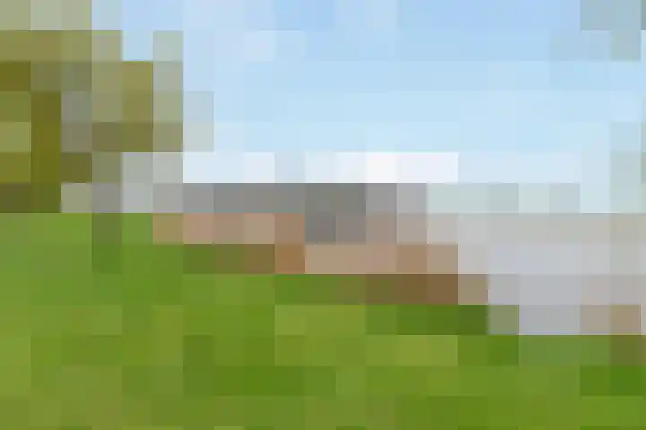 Ploeganker 55 Almere thumbnail 41