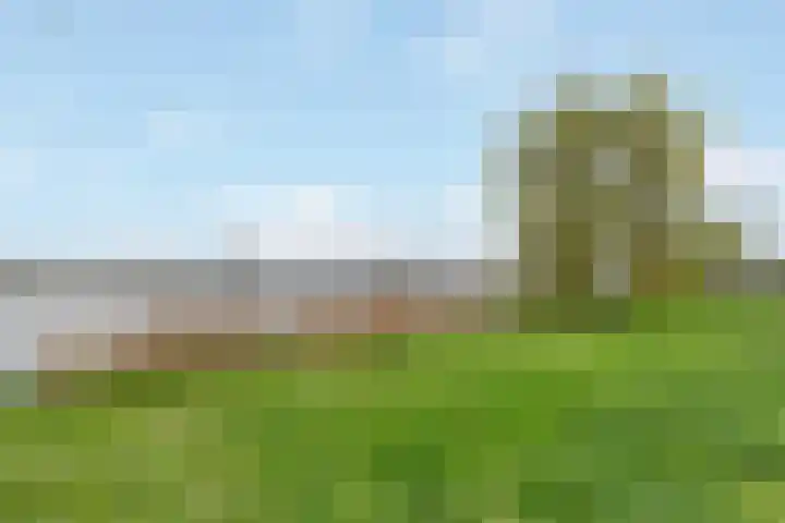 Ploeganker 55 Almere thumbnail 42
