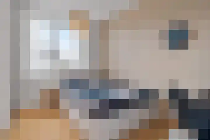Ploegbaas 15 Brunssum thumbnail 17