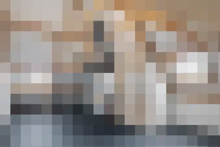 Ploegbaas 15 Brunssum thumbnail 21