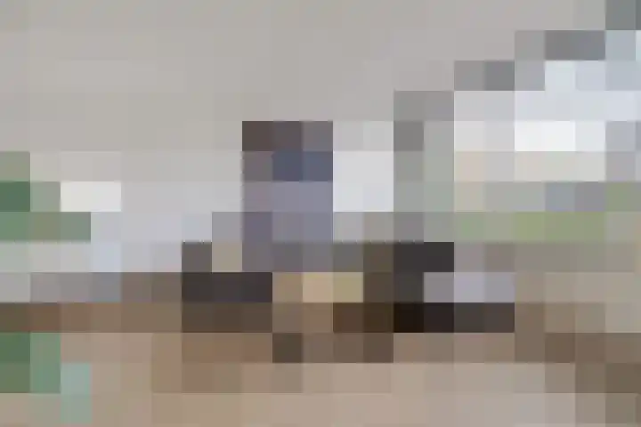 Ploegbaas 15 Brunssum thumbnail 6