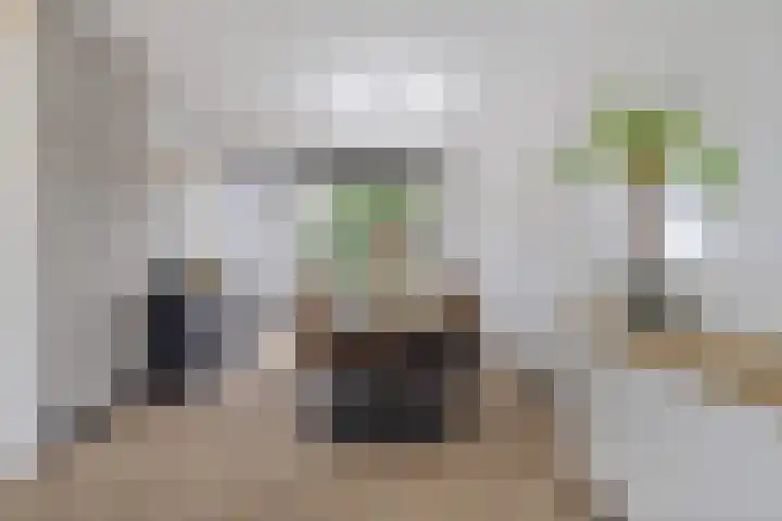 Ploegbaas 15 Brunssum thumbnail 7