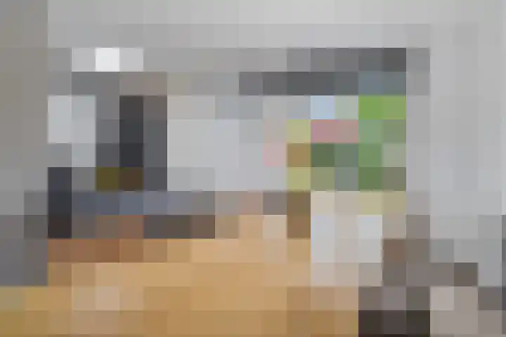 Ploegbaas 15 Brunssum thumbnail 8