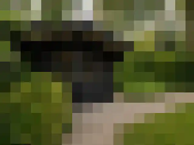 Ploegdijk 2 351 Lochem thumbnail 4
