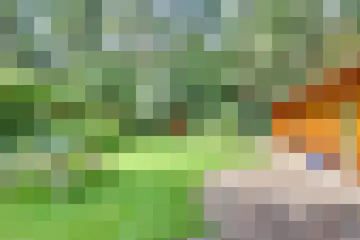 Ploegdijk 2 H 330a Lochem thumbnail 25